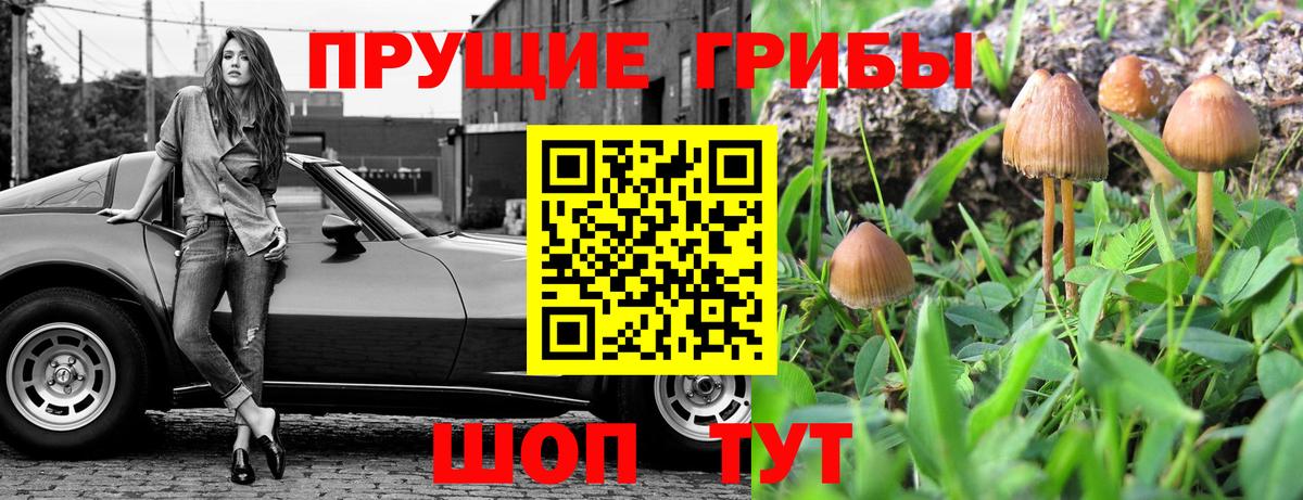 Галлюциногенные грибы прущие грибы  Вход с VPN  наркошоп  Псилоцибиновые грибы MAGIC MUSHROOMS  Егорьевск 