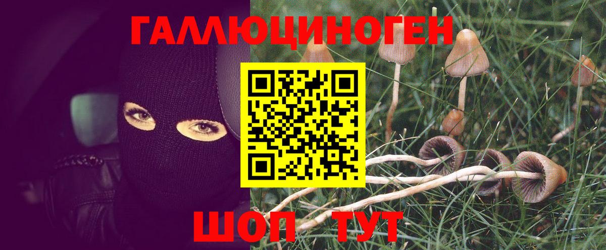 Галлюциногенные грибы MAGIC MUSHROOMS Егорьевск